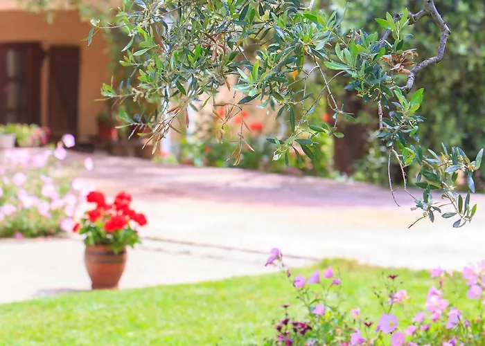 Rosa * Potamia (Thasos)