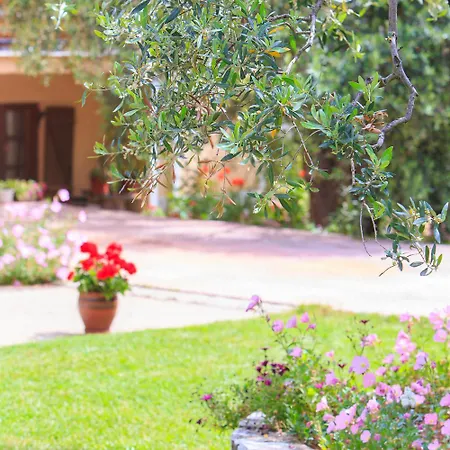 Rosa * Potamia (Thasos)